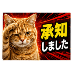写真風ねこ 敬語・連絡スタンプ