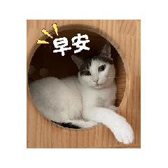YU CIAO SHIH_20260531131743