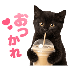 うごく♪クロニャの毎日