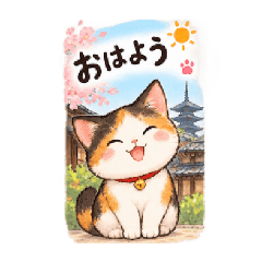 京都のんびり猫・まる