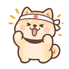 くりーむ柴犬