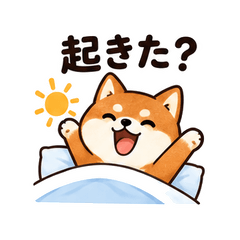 Shiba Living Alone Watch