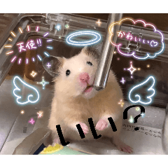 おもちくんスタンプ"(∩>ω<∩)"