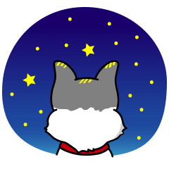 JiJi's Wonderful World