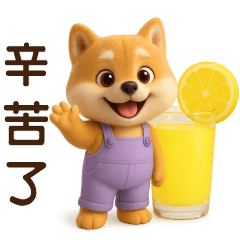 Cute Shiba Inu * Everyday practicals