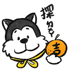 The Husky's Chinese New Year