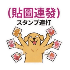 ゴールデンレトリバーのリャンリャン：日常