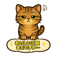 うちのキジトラ達