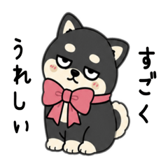 ずっと使えるシバくん(ジトメフレンズ)