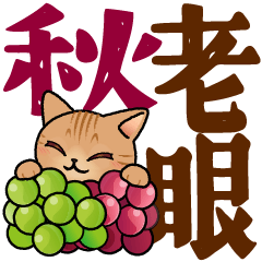 老眼でもくっきり！はぴきゃと秋のでか文字