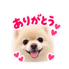 わんちゃん〜ご挨拶2〜