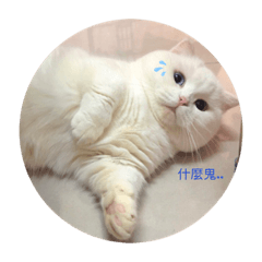 SSU Yu_20190507165008