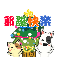 A funny dog and a funny cat (X&#39;mas)