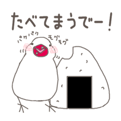 関西弁の白文鳥3