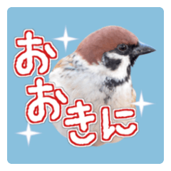 大阪のすずめさん (野鳥写真スタンプ2）