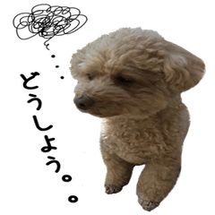 ふわふわカールちゃん２