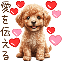 愛を伝えるトイプードル