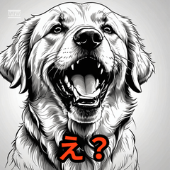 感情豊かすぎるゴールデンレトリバー