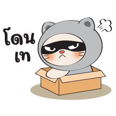 Hello Everyday : Spy Cat