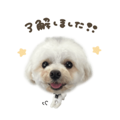 ビビ.ラッキー.ラブちゃん♡deformation