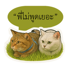 My Friend_20250718114934