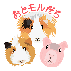 もるおとうーたん時々スキニー