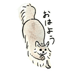 ソマリブルーのすてちゃん