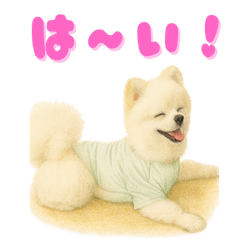 まめ太のオリジナルスタンプ