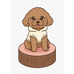 toy poodle cocoa part2