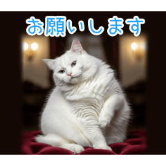 [お願いします専用]おでぶ猫