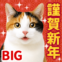 かわいい猫写真♪敬語でお正月BIG 2026