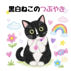 黒白ネコの日常スタンプ