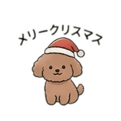 メリクリプーpoodle usable for Christmas