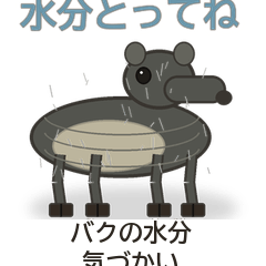 バクの水分気づかい