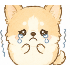 子犬たち日