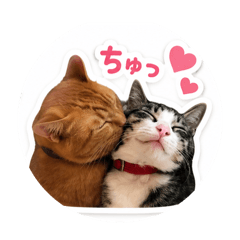 ラブラブ❤️ボブとジジスタンプ