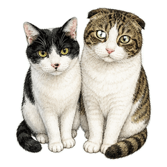 ちょこ＆みんとの毎日イラスト