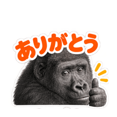 ゴリラの作業員