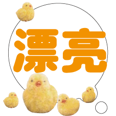 CUTE Chick Bird conversationexpression04