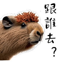 Quirky Capybara&#39;s Daily Life 2