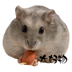 マロニーちゃん♡