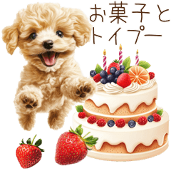 動く♪お菓子だいすきトイプードル