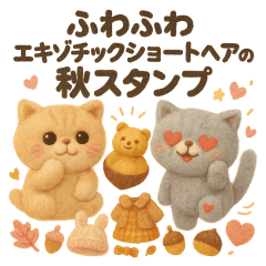 ふわふわエキゾチックショートヘアの秋スタ