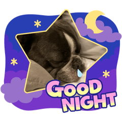 Thiti_aoq_20250815164840