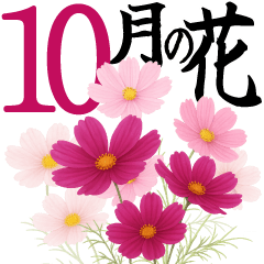 10月 秋の花 大きくて見やすい挨拶スタンプ