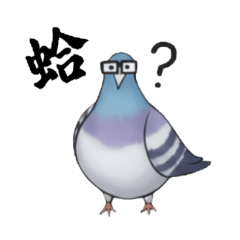 Bird things : daily version