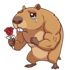 筋トレハムスターからの愛と励ましのハグ