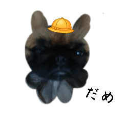 ペロチロオオオオオオオ(？）