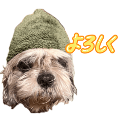 シュシュのシュタンプ