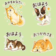 2匹のワンコと1匹のニャンコの物語